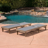 Outdoor Mesh and Wood Chaise Lounge (Set of 2) - NH694403