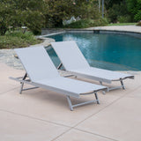 Outdoor Gray Mesh Chaise Lounge with Aluminum Frame - NH615103