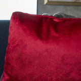 New Velvet Throw Pillow - NH275103