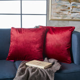 New Velvet Throw Pillow (Set of 2) - NH185103