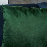 New Velvet Throw Pillow (Set of 2) - NH185103