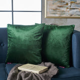 New Velvet Throw Pillow (Set of 2) - NH185103