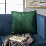 New Velvet Throw Pillow - NH275103