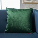 New Velvet Throw Pillow - NH275103