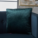 New Velvet Throw Pillow - NH275103