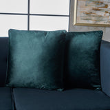 New Velvet Throw Pillow (Set of 2) - NH185103