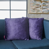 New Velvet Throw Pillow (Set of 2) - NH185103