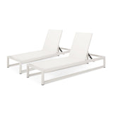 Outdoor Mesh Chaise Lounge (Set of 2) - NH749113