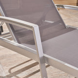 Outdoor Mesh and Aluminum Chaise Lounge - NH341503