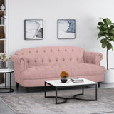 Contemporary Deep Tufted Sofa with Nailhead Trim - NH989213