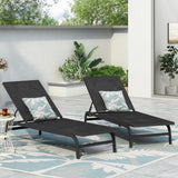 Outdoor Aluminum and Outdoor Mesh Chaise Lounge, Set of 2 - NH281513