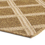 Indoor/Outdoor Area Rug - NH550513