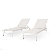 Outdoor Aluminum and Outdoor Mesh Chaise Lounge, Set of 2 - NH281513