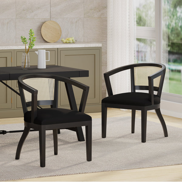 Delwood Traditional Upholstered Wood and Cane Dining Chairs, Set of 2