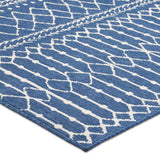 Indoor/Outdoor Area Rug - NH770513