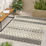 Indoor/Outdoor Area Rug - NH980513