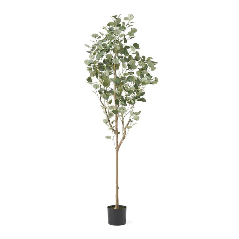 Artificial Eucalyptus Tree - NH947313