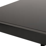 Modern Glass Top Side Table with Shelf, Black - NH326413