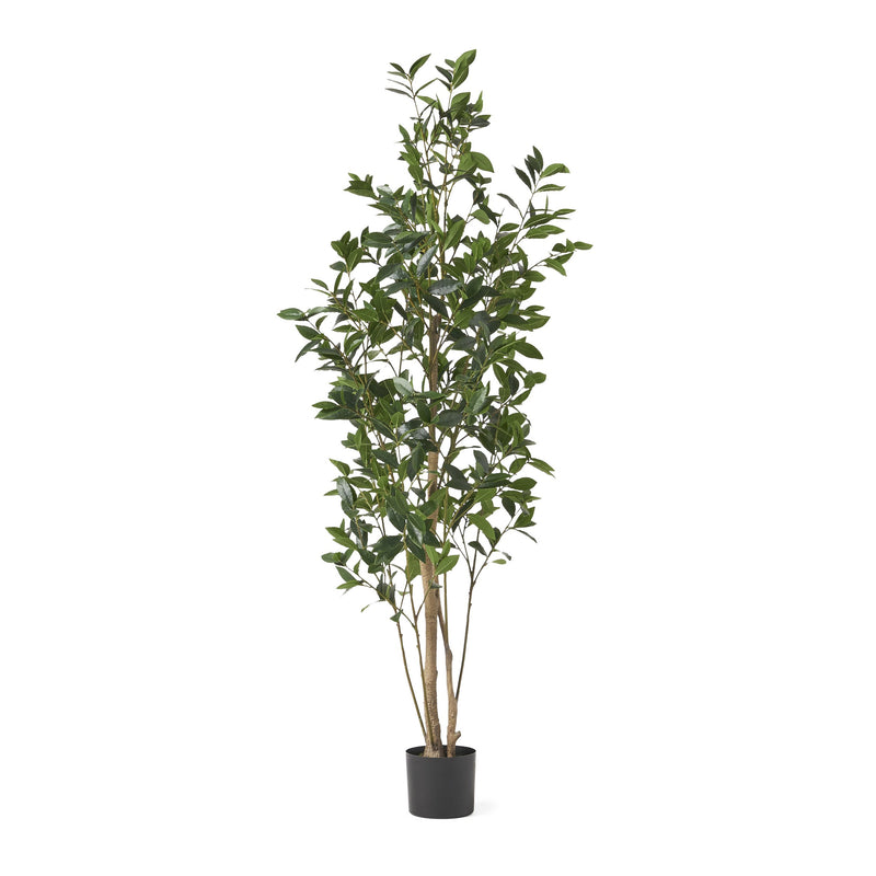 Artificial Laurel Tree - NH457313