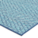 Indoor/Outdoor Area Rug - NH170513