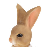 Outdoor Decorative Rabbit Planter, Brown and Pink - NH099413