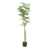 Coles Artificial Money Tree