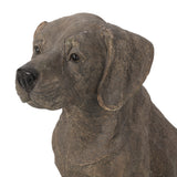 Outdoor Dog Garden Statue, Dark Brown - NH163413