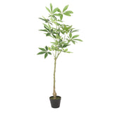 Coles Artificial Money Tree