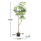 Coles Artificial Money Tree